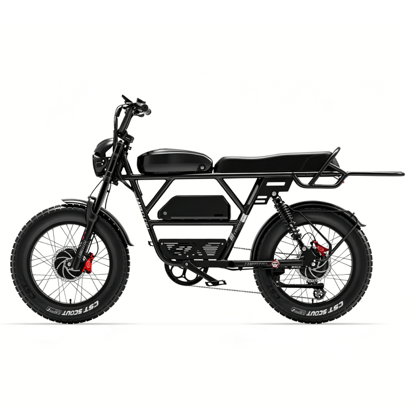 LANKELEISI X-Zwarte Ridder
