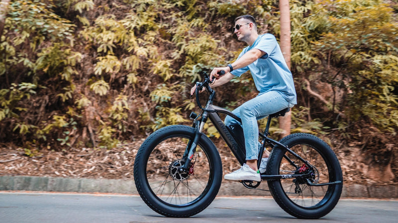 lankeleisi elektrische fiets